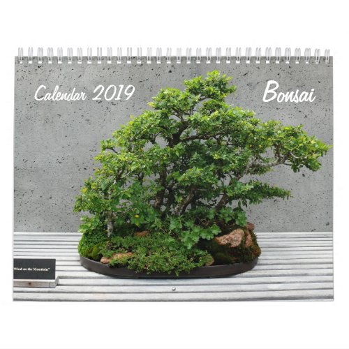 Calendar 2019 with Bonsai