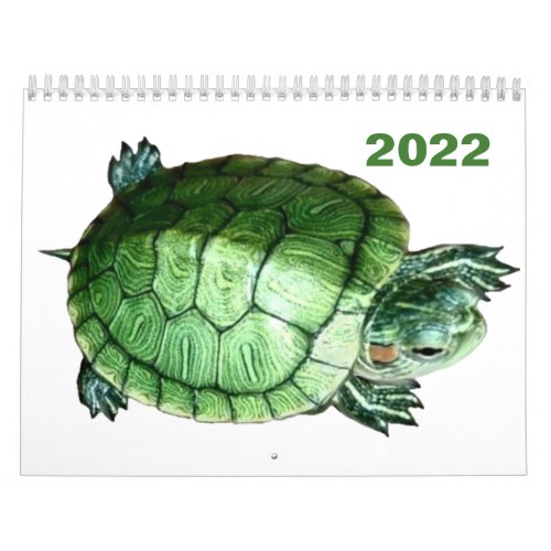 Calendar 2022 Turtle