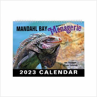 Calendar (2023)