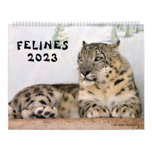 Calendar 2023 Felines