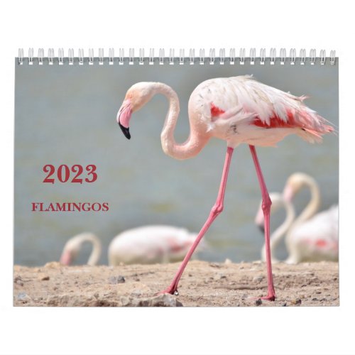 Calendar 2023 flamingos