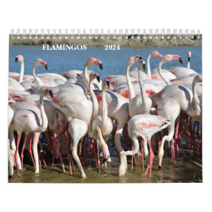 Calendar 2023 Flamingos