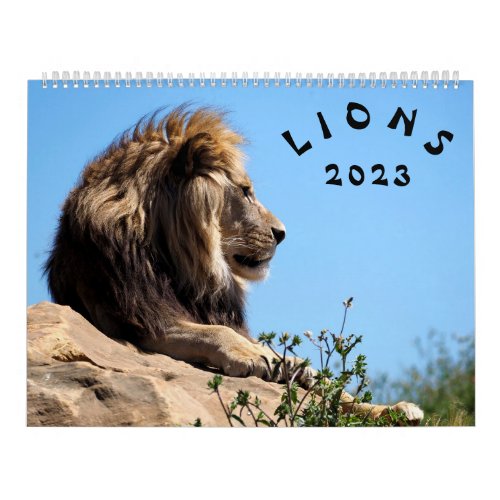 Calendar 2023 Lions