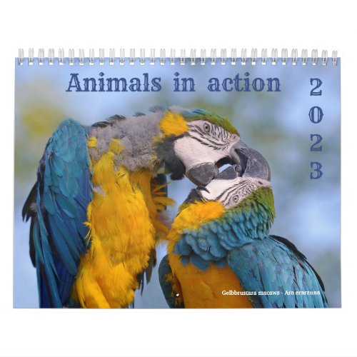 Calendar 2023 of animals in action