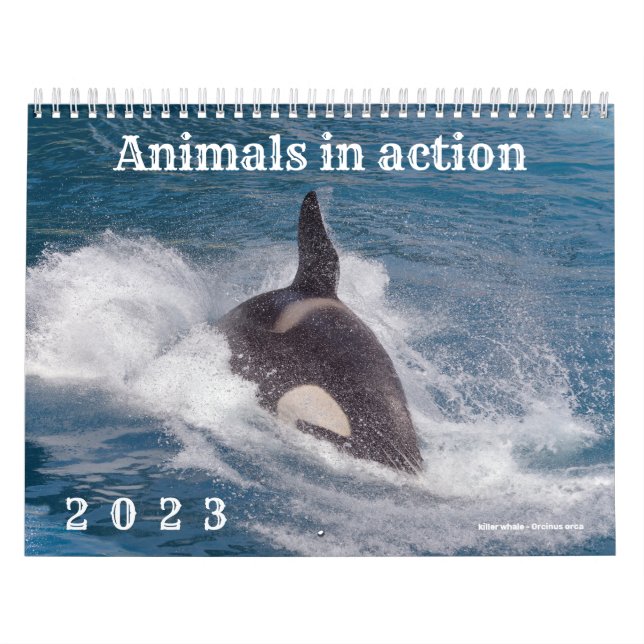 Calendar 2023 of animals in action (Cover)