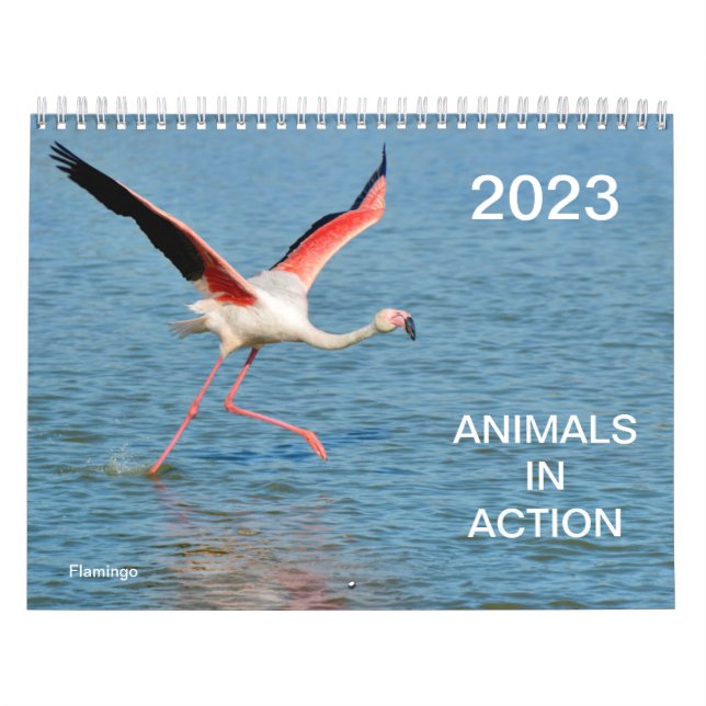 Calendar 2023 of animals in action (Cover)