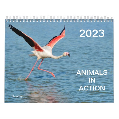 Calendar 2023 of animals in action