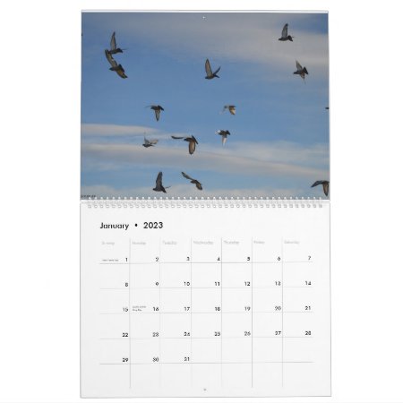 Calendar 2023 Of Carrier Pigeons