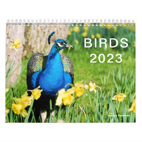 Calendar 2023 of various birds