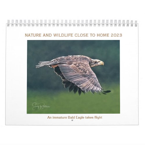 Calendar 2023 wildlife and nature