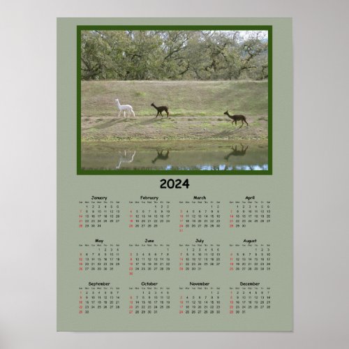 Calendar _ 2024 Alpaca Calendar Poster