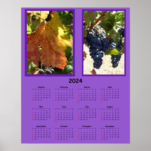 Calendar _ 2024 Grapes on the vine Poster
