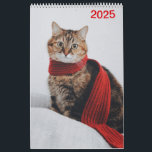 Calendar 2025 Cat Lover Cats<br><div class="desc">Cats Calendar 2025. One must love all cats.</div>