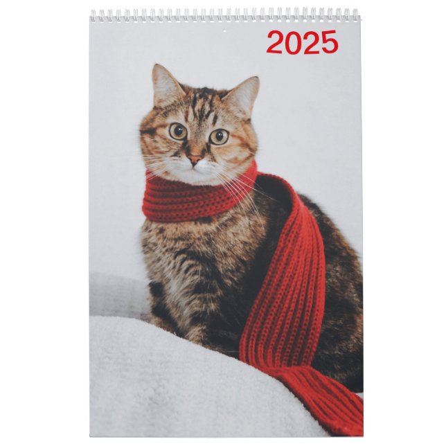 Calendar 2025 Cat Lover Cats (Cover)
