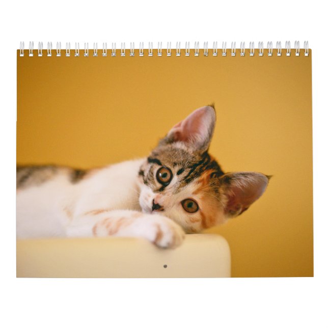 Calendar 2025 Paws and Whiskers (Back)