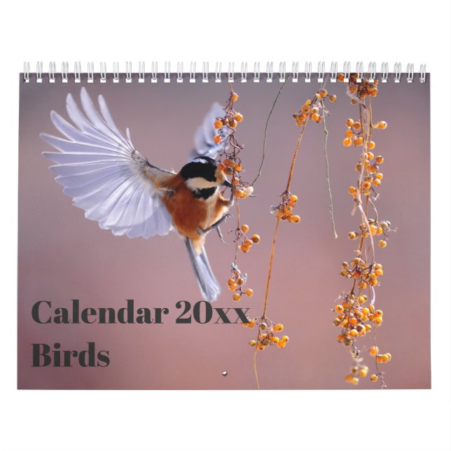 Calendar 20xx - Birds (Cover)