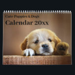 Calendar 20xx - Cute Puppies and Dogs<br><div class="desc">Add the year to this very cute puppy and dog calendar.

Photo's by PxHere</div>