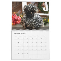 Calendar 3: The Chicken Chick's Flock