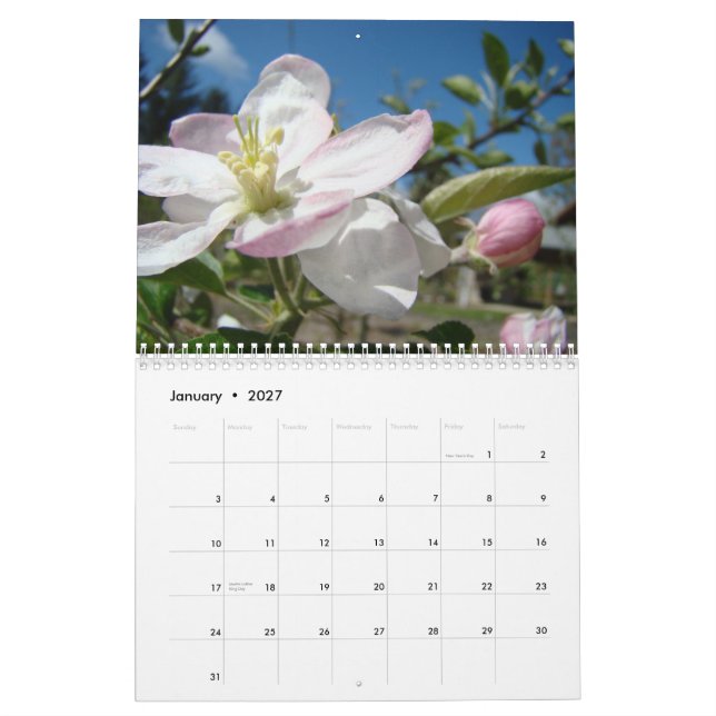 CALENDAR APPLE BLOSSOMS Calendar Spring Art (Jan 2027)