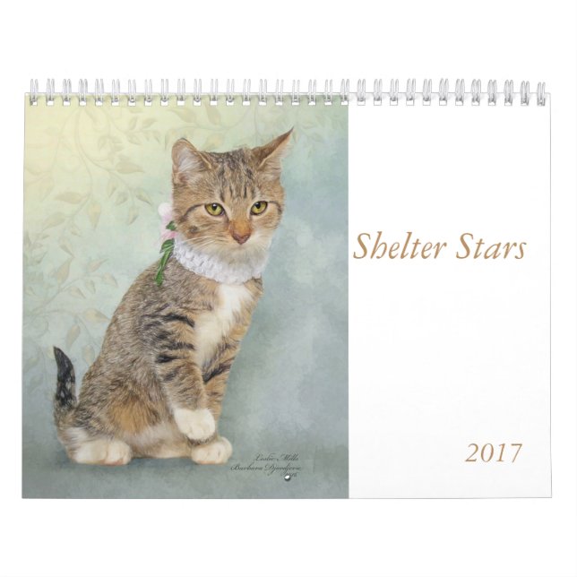 Calendar art featuring shelter animals (Cover)
