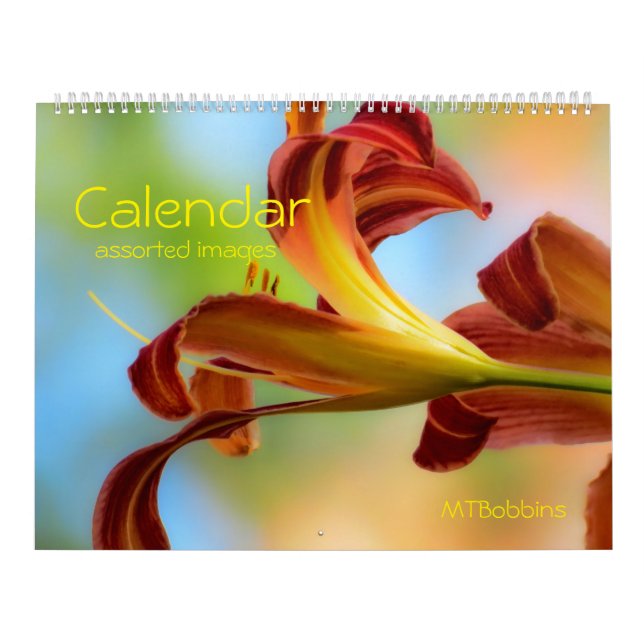 Calendar - Assorted Images - with Large Numbers (Cover)
