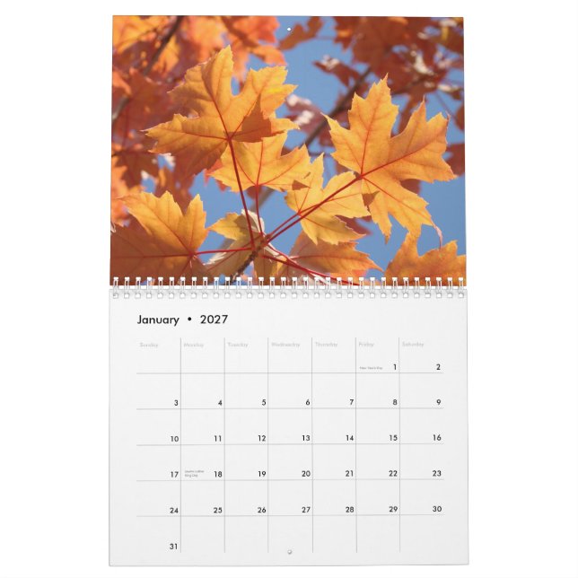 CALENDAR  AUTUMN Calendars FALL ART Leaves (Jan 2027)