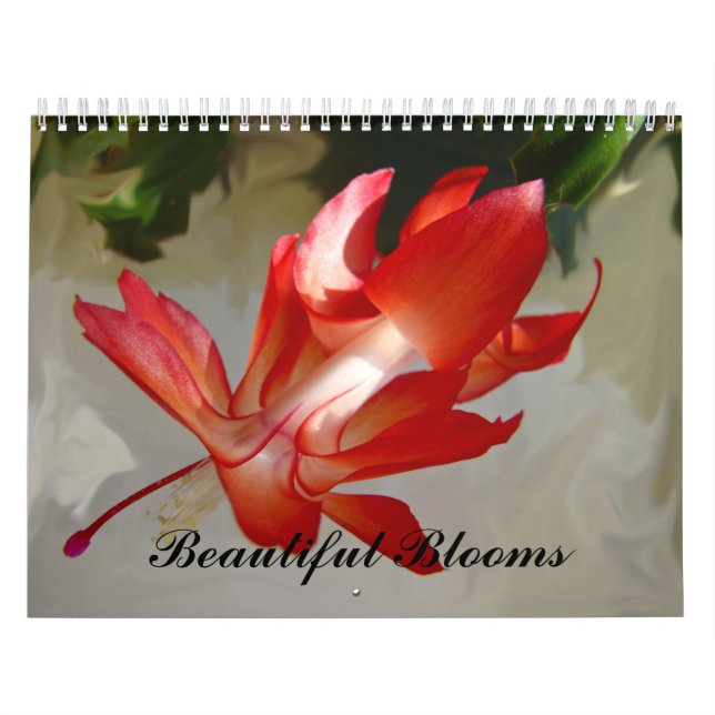 Calendar- Beautiful Blooms Calendar (Cover)