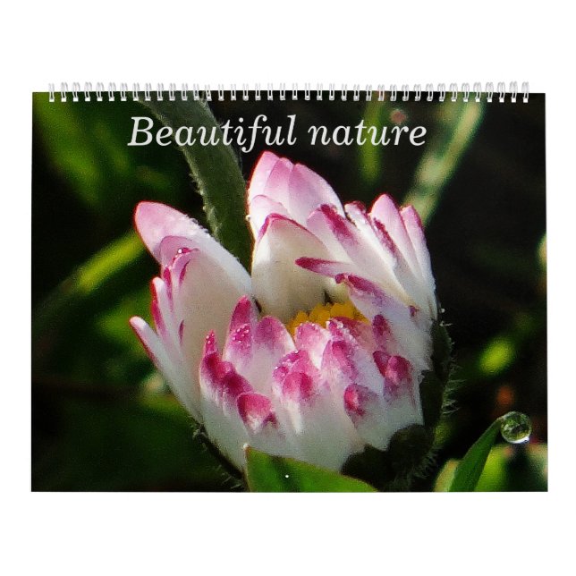 Calendar Beautiful Nature (Cover)