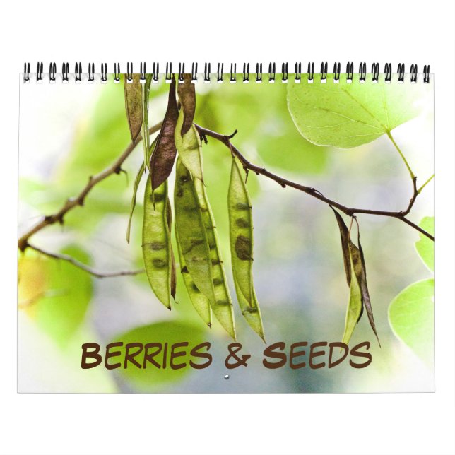 Calendar ~ Berries & Seeds (Cover)