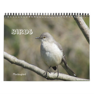 Calendar - Birds