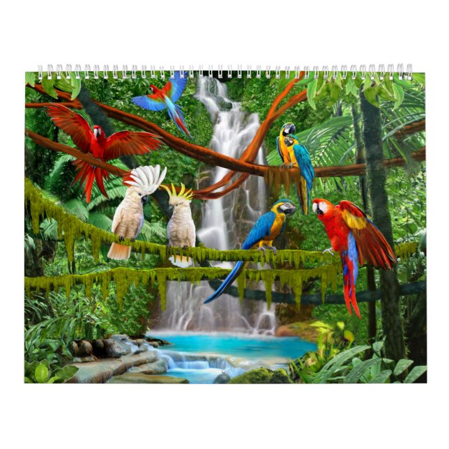 CALENDAR BIRDS #1 (Cover)