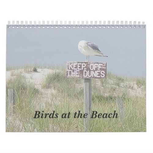 Calendar _ Birds at the Beach