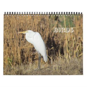 Calendar - Birds for New Year