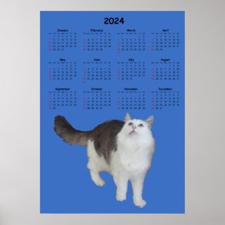 Calendar - Curious Cat 2024