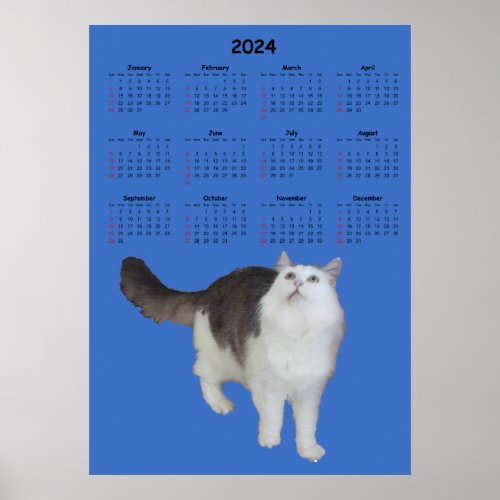 Calendar _ Curious Cat 2024 Poster