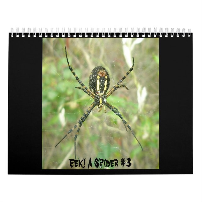 Calendar - Eek! A Spider #3 (Cover)