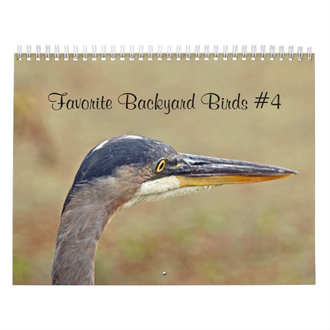 Calendar Favorite Backyard Birds (Cover)