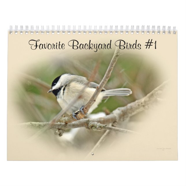Calendar Favorite Backyard Birds #1 (Cover)