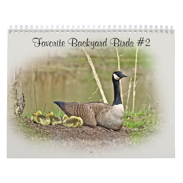 Calendar Favorite Backyard Birds #2 (Cover)