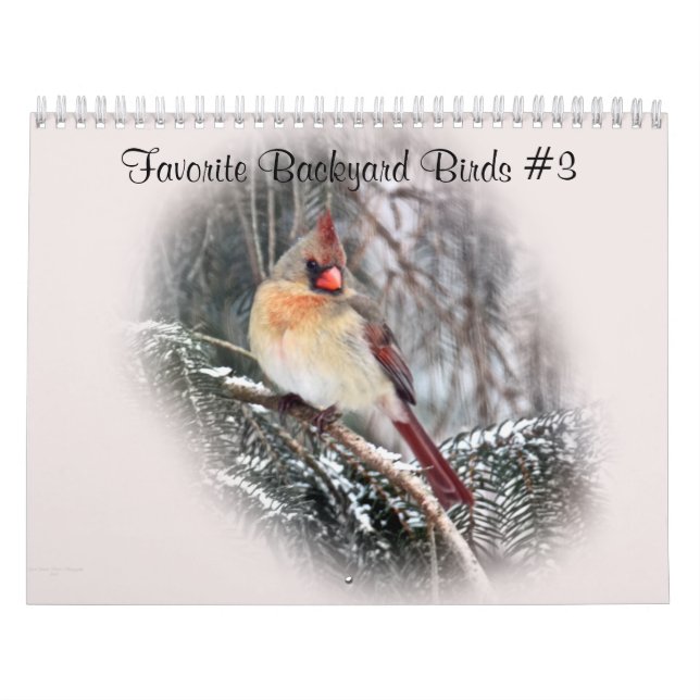 Calendar Favorite Backyard Birds #3 (Cover)