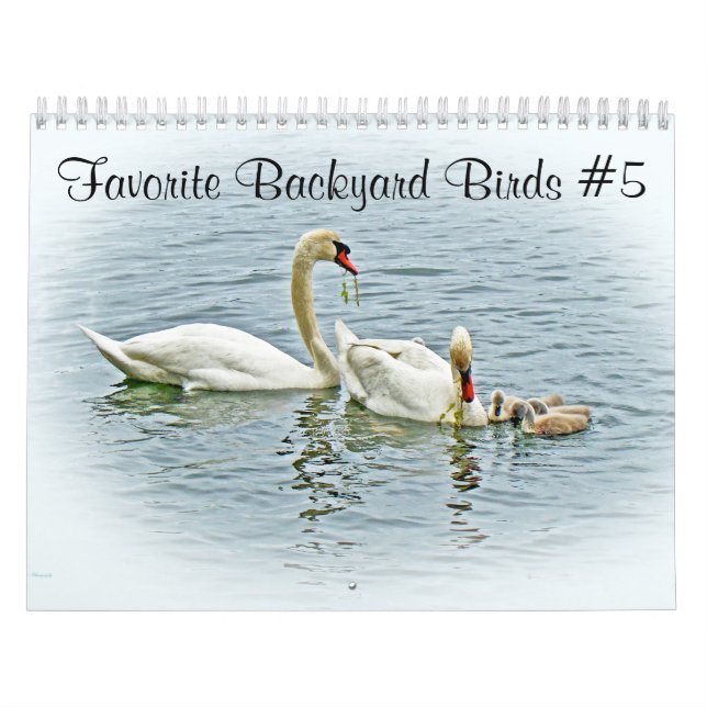 Calendar Favorite Backyard Birds #5 (Cover)
