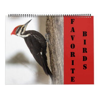 Calendar - Favorite Birds