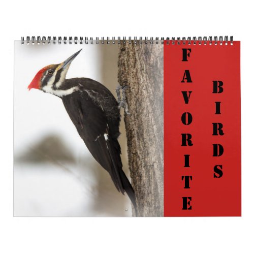 Calendar _ Favorite Birds