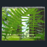 CALENDAR FERNS Calendar Redwood Forest Ferns<br><div class="desc">CALENDARS Change Dates, FERNS Calendars, Green FERN Forests Calendar, Redwood Forest ferns, Gift Calendars, Christmas Gifts, OFFICE ART, Corporate Client Git Calendars, Artwork Calendars, Botanical Forest Landscapes. BASLEE TROUTMAN FINE ART COLLECTIONS. GETTING A GIFT? COMBINE several products. Greeting Cards, Stamps, Postage Stamps, Postcards, Tote Bags, Aprons, Mugs, Mousepads, Keychains, Stickers,...</div>