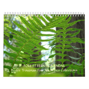 CALENDAR FERNS Calendar Redwood Forest Ferns