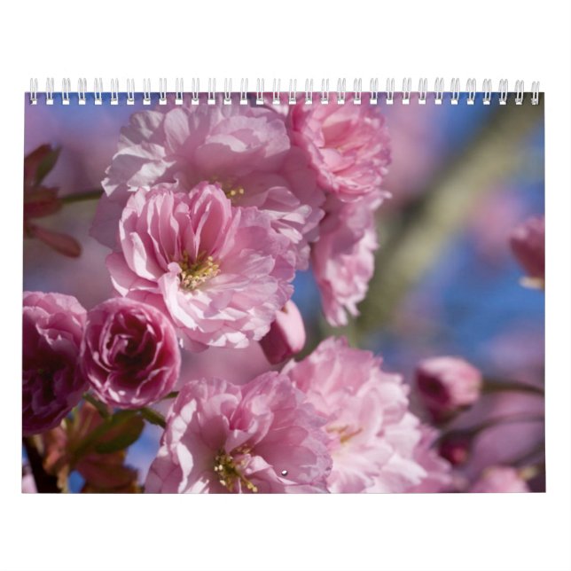 Calendar-Flowers Calendar (Cover)