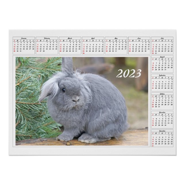 Calendar for 2023 Cute gray rabbit Poster (Front)
