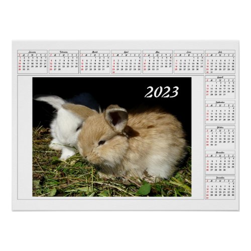 Calendar for 2023 Cute little fluffy bunnies Poster