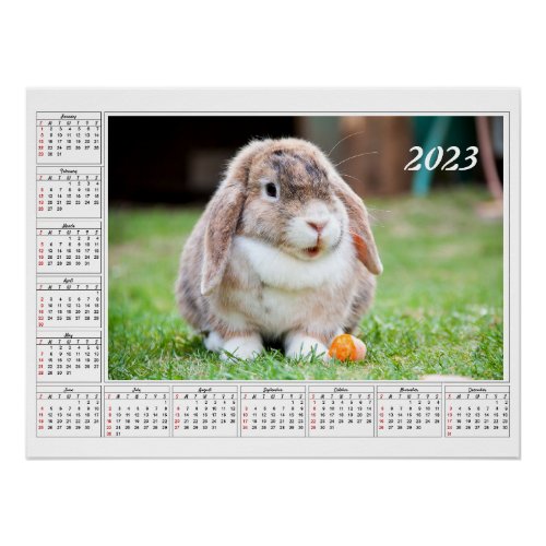 Calendar for 2023 Cute lop_eared rabbit Poster