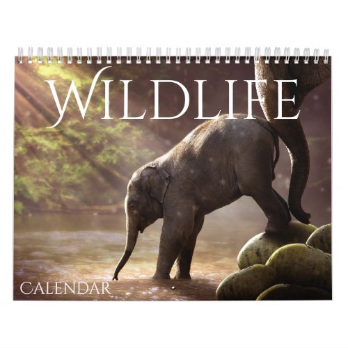 Calendar for 2024 with Cute Pictures of Wildlife